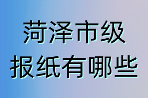 菏澤市級(jí)報(bào)紙有哪些